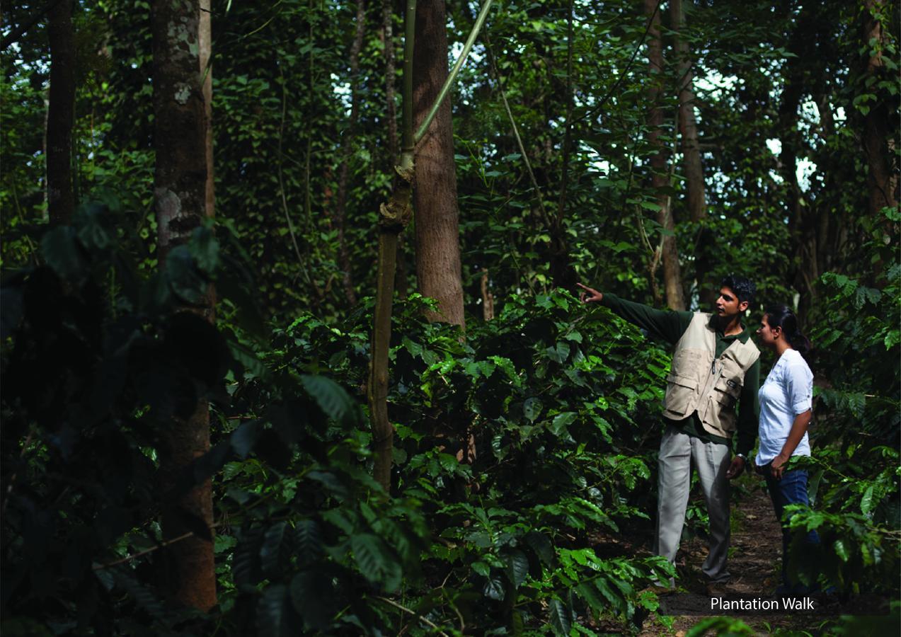 The Serai Chickmagalur Chikmagalur Bagian luar foto